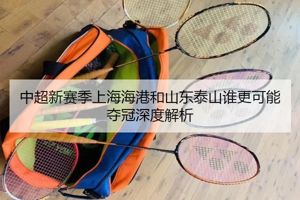 中超新赛季上海海港和山东泰山谁更可能夺冠深度解析