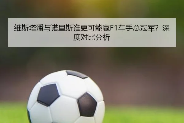 维斯塔潘与诺里斯谁更可能赢F1车手总冠军？深度对比分析