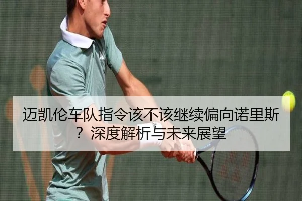 迈凯伦车队指令该不该继续偏向诺里斯？深度解析与未来展望