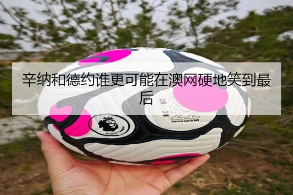 辛纳和德约谁更可能在澳网硬地笑到最后