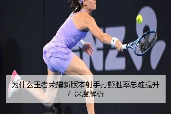 为什么王者荣耀新版本射手打野胜率总难提升？深度解析